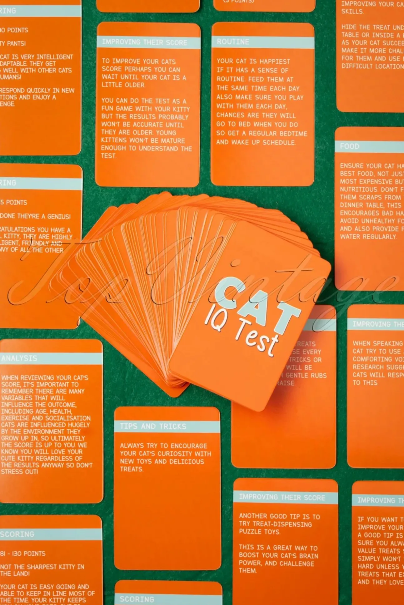 Katten Iq-Test!