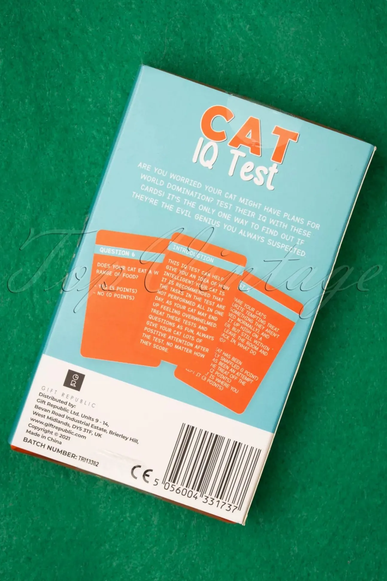 Katten Iq-Test!